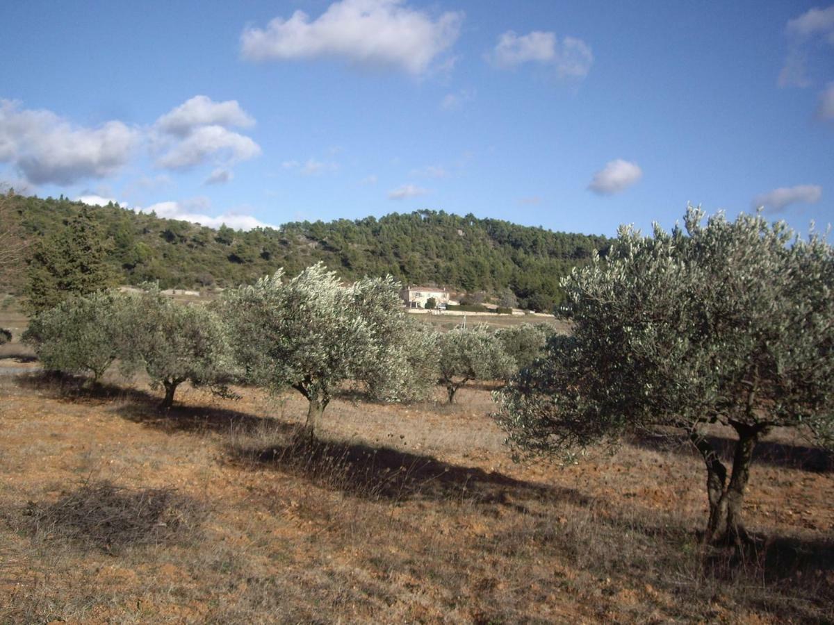 L' Oliveraie De Plérimond Aups Esterno foto