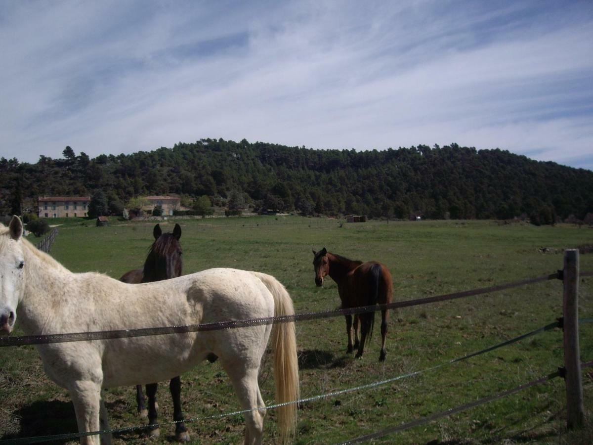 L' Oliveraie De Plérimond Aups Esterno foto