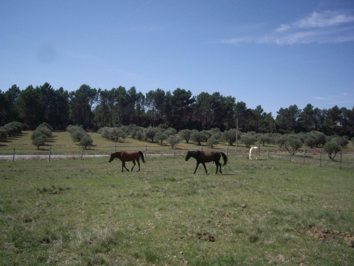 L' Oliveraie De Plérimond Aups Esterno foto